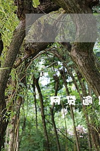 网贷逾期有金融机构打电话 网贷逾期有金融机构打电话