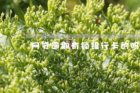 网贷逾期有锁银行卡的吗 网贷逾期有锁银行卡的吗