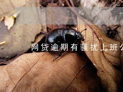 网贷逾期有骚扰上班公司吗 网贷逾期有骚扰上班公司吗