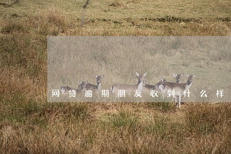 网贷逾期朋友收到什么样的信息 网贷逾期朋友收到什么样的信息