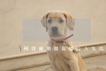 网贷逾期朋友被拉入失信名单 网贷逾期朋友被拉入失信名单