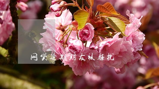网贷逾期朋友被骚扰 网贷逾期朋友被骚扰