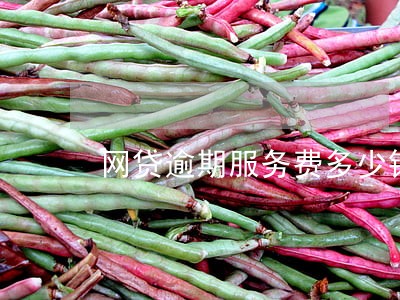网贷逾期服务费多少钱 网贷逾期服务费多少钱
