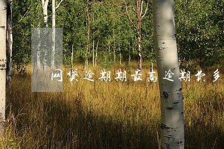 网贷逾期期最高逾期费多少 网贷逾期期最高逾期费多少