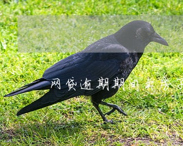 网贷逾期期间卖房子 网贷逾期期间卖房子