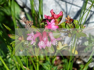 网贷逾期未绑定的银行卡会扣钱吗 网贷逾期未绑定的银行卡会扣钱吗