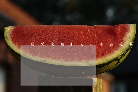 网贷逾期未还一年后还能借么 网贷逾期未还一年后还能借么