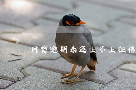 网贷逾期未还上不上征信 网贷逾期未还上不上征信