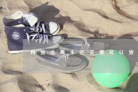 网贷逾期未还买房可以贷吗 网贷逾期未还买房可以贷吗