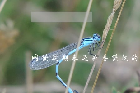 网贷逾期未还买房贷款的案例 网贷逾期未还买房贷款的案例