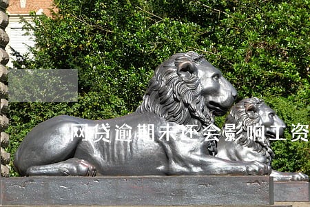 网贷逾期未还会影响工资到账吗 网贷逾期未还会影响工资到账吗