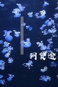 网贷逾期未还会立刻列入失信吗 网贷逾期未还会立刻列入失信吗
