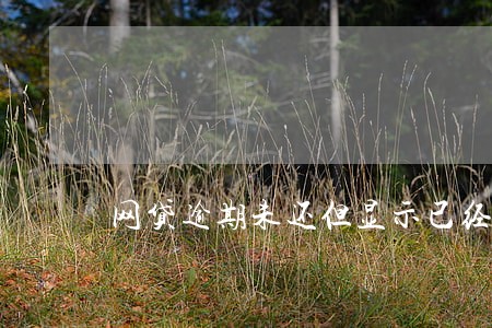 网贷逾期未还但显示已经结清 网贷逾期未还但显示已经结清