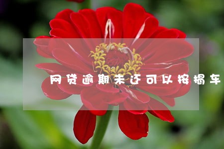 网贷逾期未还可以按揭车吗 网贷逾期未还可以按揭车吗