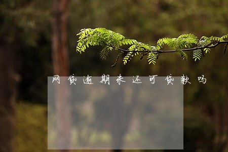 网贷逾期未还可贷款吗