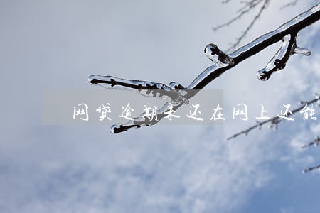 网贷逾期未还在网上还能借到钱吗