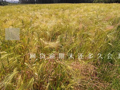 网贷逾期未还多久会上门催收 网贷逾期未还多久会上门催收