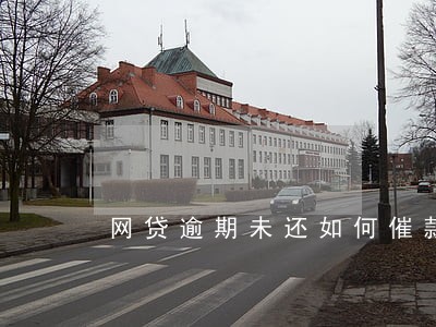 网贷逾期未还如何催款 网贷逾期未还如何催款