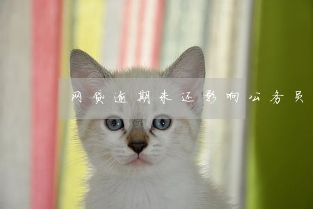 网贷逾期未还影响公务员政审吗 网贷逾期未还影响公务员政审吗