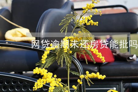 网贷逾期未还房贷能批吗 网贷逾期未还房贷能批吗