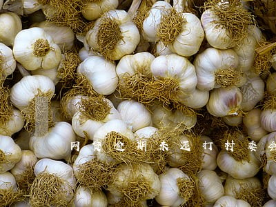 网贷逾期未还打村委会