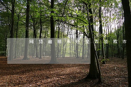 网贷逾期未还是否是欺诈