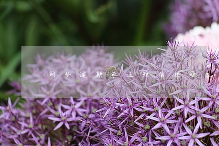 网贷逾期未还短信提示立案