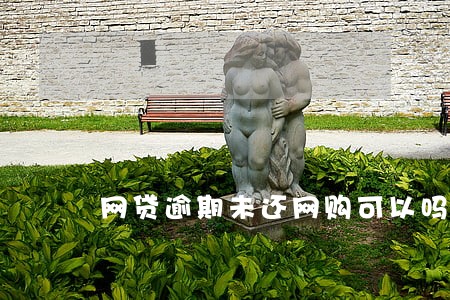 网贷逾期未还网购可以吗 网贷逾期未还网购可以吗