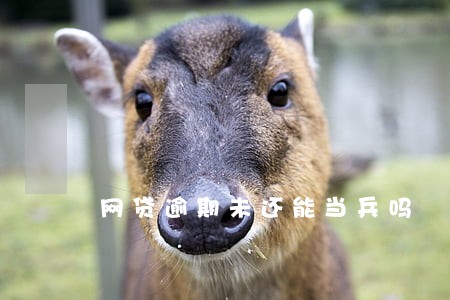 网贷逾期未还能当兵吗 网贷逾期未还能当兵吗