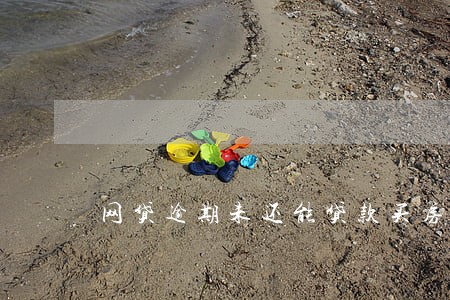 网贷逾期未还能贷款买房吗 网贷逾期未还能贷款买房吗
