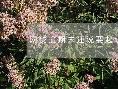 网贷逾期未还说要起诉我 网贷逾期未还说要起诉我