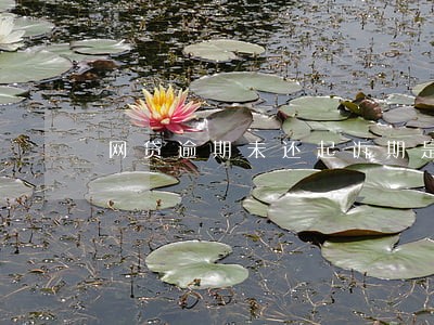 网贷逾期未还起诉期是多久 网贷逾期未还起诉期是多久