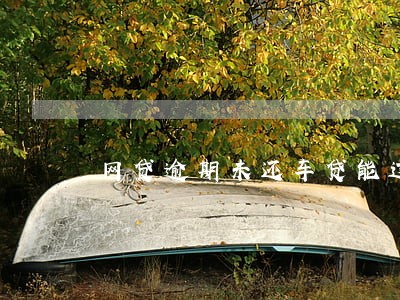 网贷逾期未还车贷能过吗