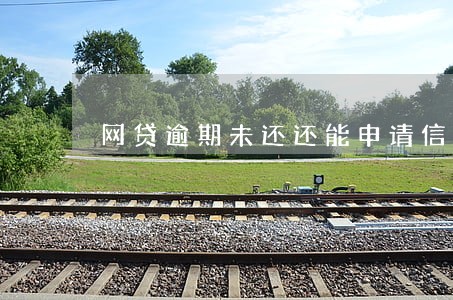 网贷逾期未还还能申请信用卡吗