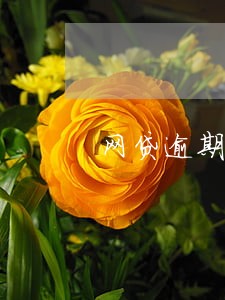 网贷逾期本地电话打过来上门 网贷逾期本地电话打过来上门