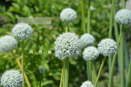 网贷逾期本金不到一万 网贷逾期本金不到一万