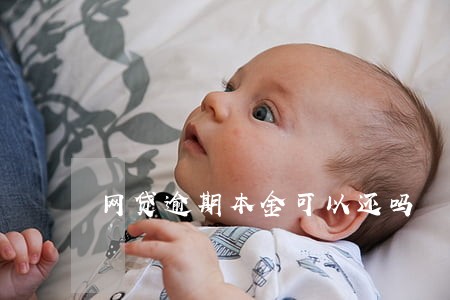 网贷逾期本金可以还吗 网贷逾期本金可以还吗