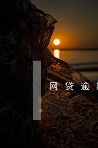 网贷逾期本金怎么计算 网贷逾期本金怎么计算