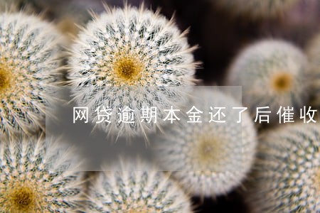 网贷逾期本金还了后催收怎么说