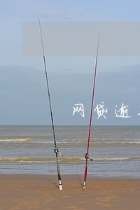 网贷逾期村委会会怎么办 网贷逾期村委会会怎么办