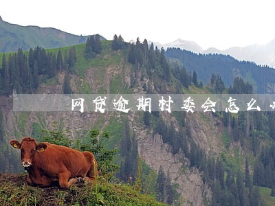 网贷逾期村委会怎么办