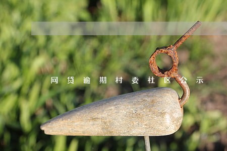 网贷逾期村委社区公示 网贷逾期村委社区公示