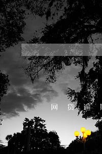 网贷逾期村里会全部知道吗 网贷逾期村里会全部知道吗