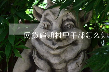 网贷逾期村里干部怎么知道的 网贷逾期村里干部怎么知道的