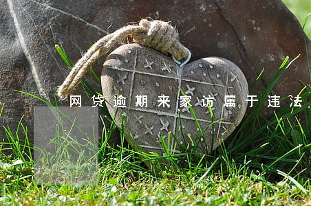 网贷逾期来家访属于违法吗 网贷逾期来家访属于违法吗