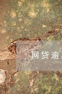 网贷逾期来家里推收 网贷逾期来家里推收