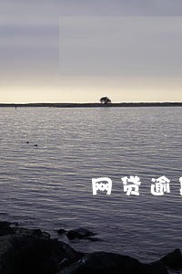 网贷逾期来家里核查 网贷逾期来家里核查