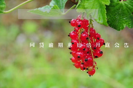 网贷逾期来短信开庭公告