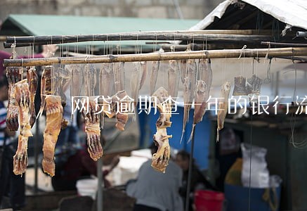 网贷逾期查一年的银行流水 网贷逾期查一年的银行流水