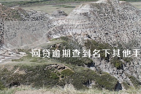 网贷逾期查到名下其他手机号 网贷逾期查到名下其他手机号